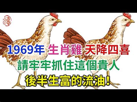 1969生肖雞|【1969五行屬什麼】1969年生肖雞大公開！五行屬性、終身運勢。